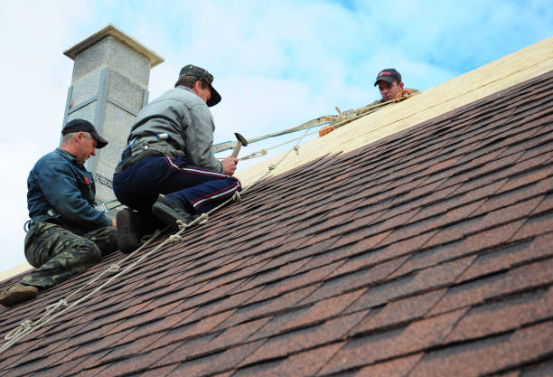 Best Gutter Installation and Roofing  in North Vacherie, LA